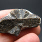A Perfect Staurolite Crystal from Russia - 1.2" - 8.95 Grams