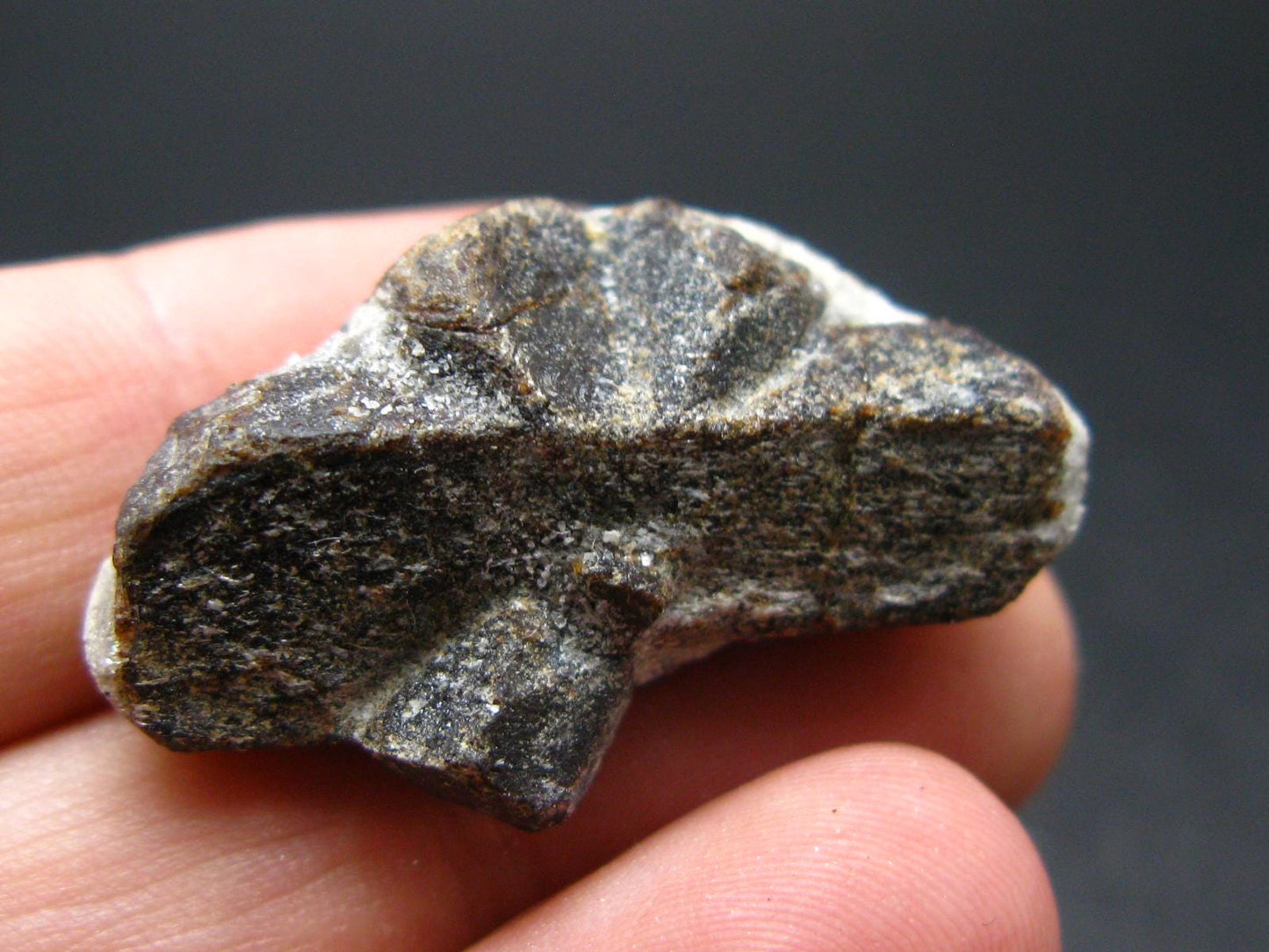 A Perfect Staurolite Crystal from Russia - 1.2" - 8.95 Grams