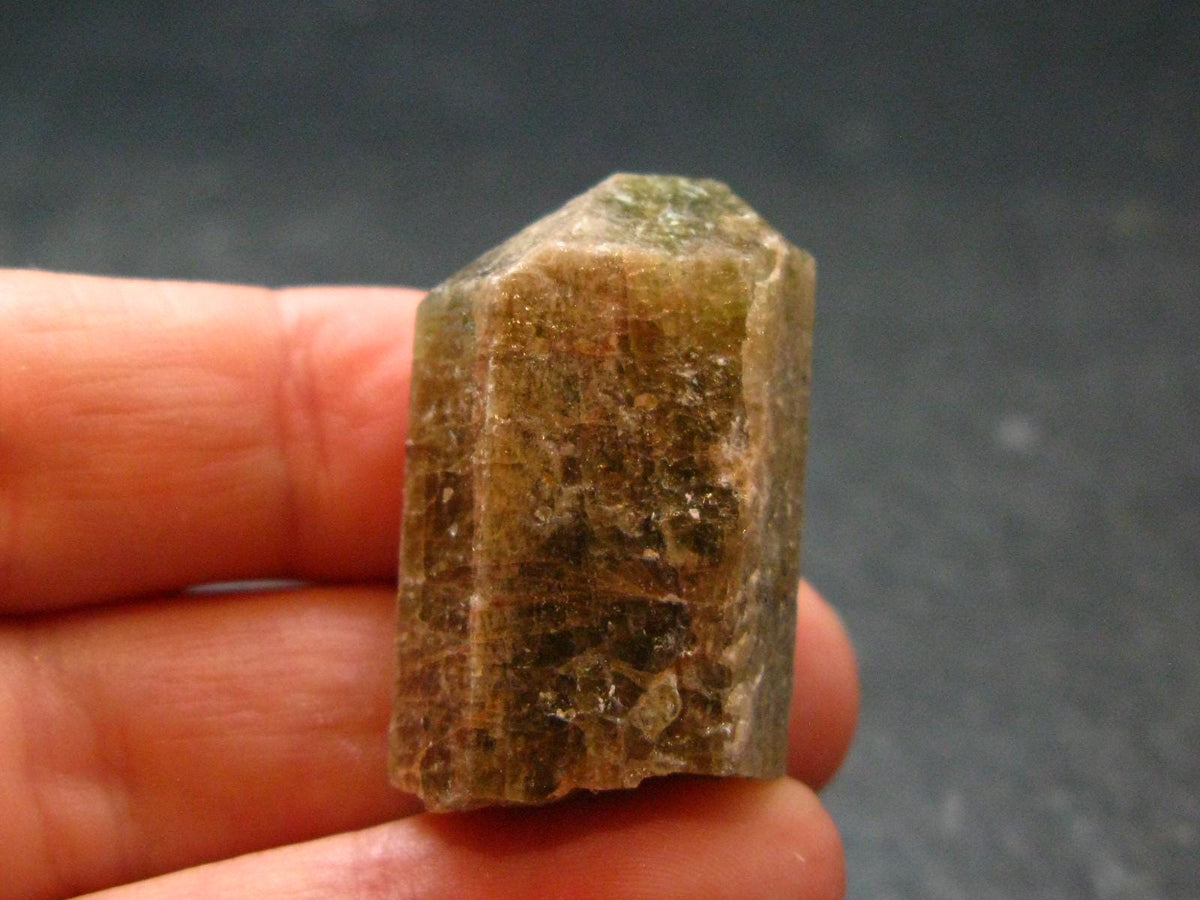 Green Apatite Crystal From Canada - 1.3" - 16.67 Grams