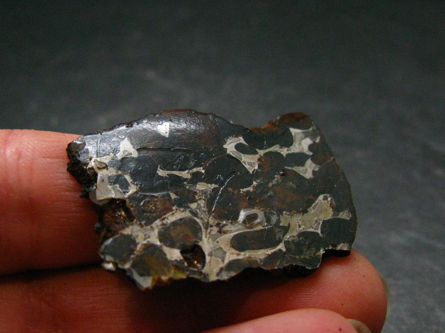 Large Sericho Meteorite Pallasite Olivine Slice From Kenya - 1.4" - 7.38 Grams