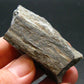 Rare ISUA Stone Raw Piece from Greenland - 2.0" - 49.91 Grams