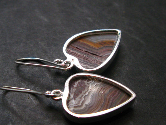 Laguna Lace Agate 925 Silver Earrings - 5.65 Grams