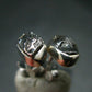 Raw Campo Del Cielo Meteorite Stud Earrings In Silver From Argentina