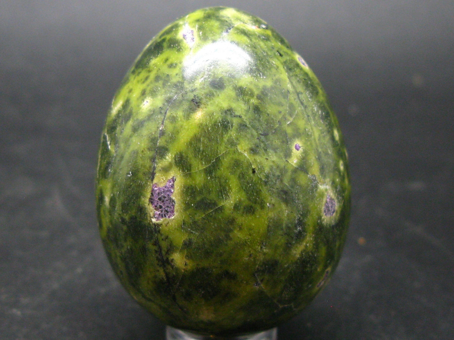 Rare Atlantasite Stichtite + Serpentine Egg from Australia - 1.7"