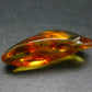 Insects in Amber Piece From Baltic Sea - 4.22 Grams - 1.5"