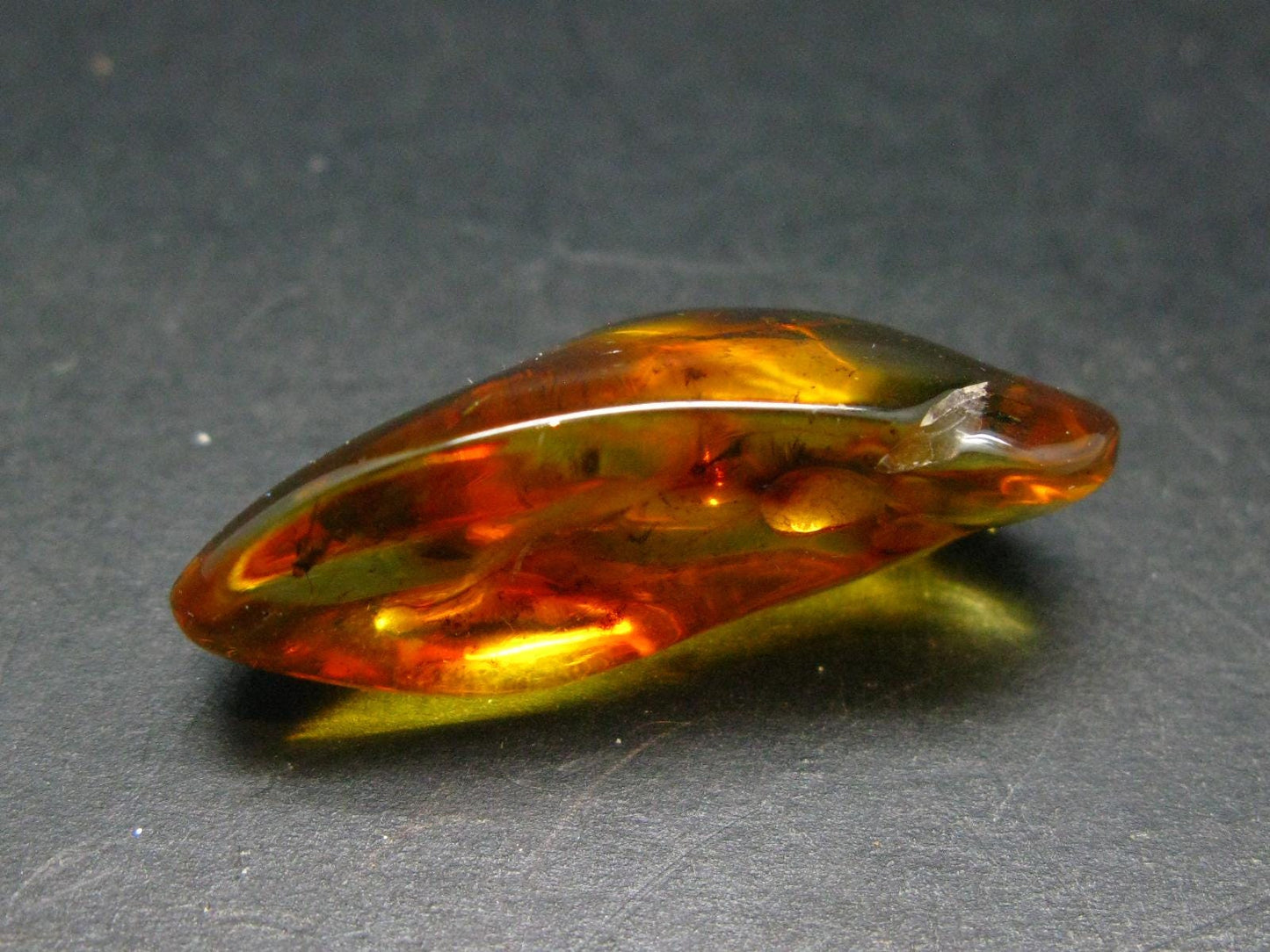 Insects in Amber Piece From Baltic Sea - 4.22 Grams - 1.5"