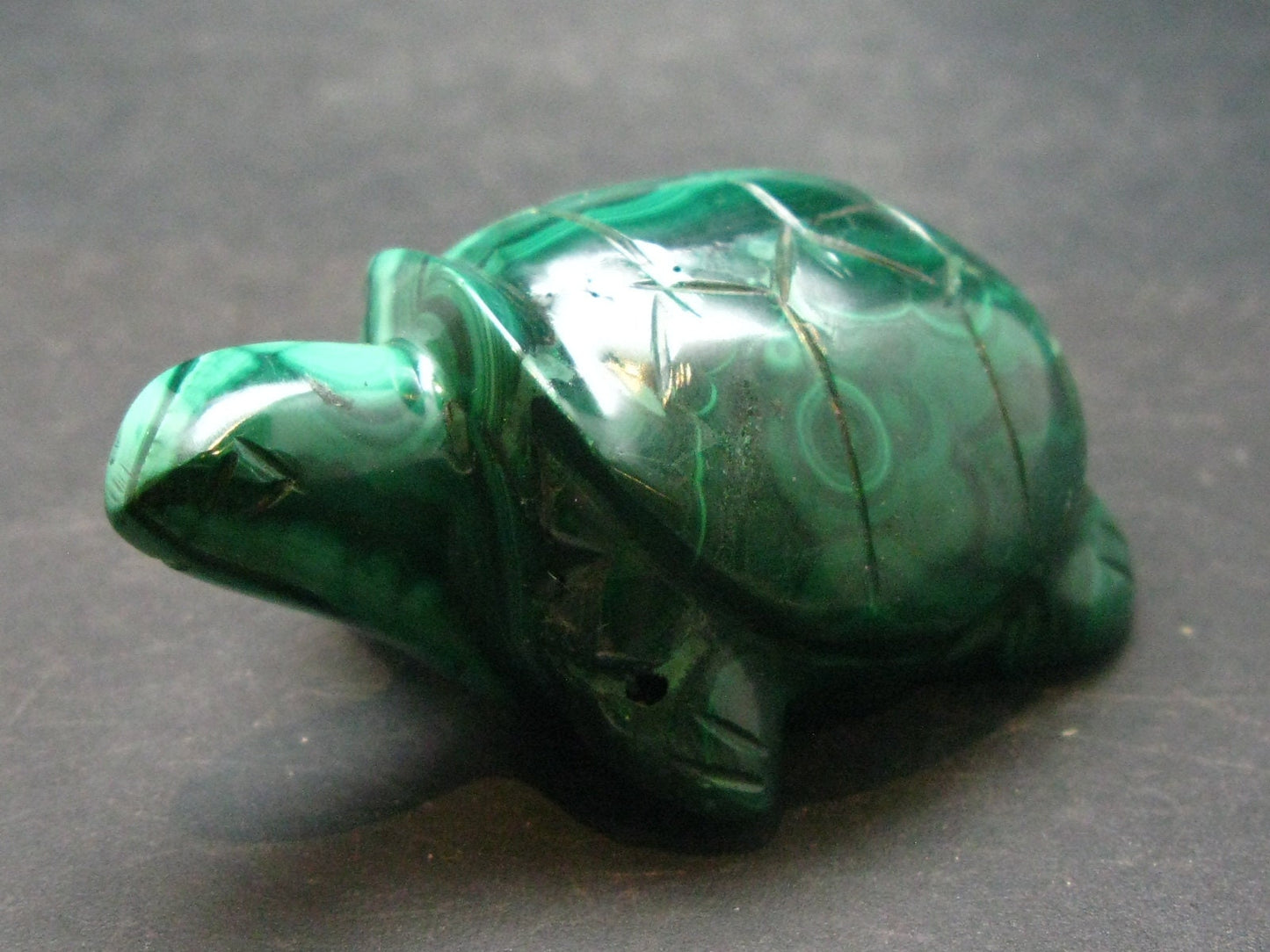 Rich Vivid Vibrant Green Malachite Turtle Carving From Congo - 2.5"