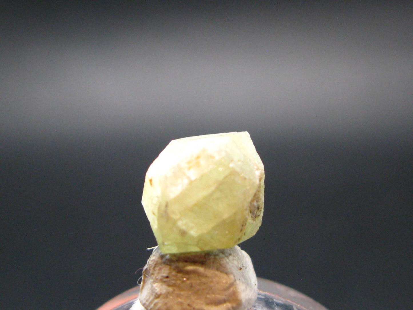 Rhodizite Rhodozite Crystal From Madagascar - 5.75 Carats - 0.3"