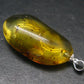 Natural Insects in Baltic Amber 925 Silver Pendant from Poland - 1.6" - 3.90 Grams