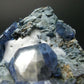 Museum Benitoite and Neptunite on Natrolite Cluster From California - 2.1"