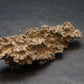 Large Fulgurite Lightning Rock From Sahara Desert - 3.3"