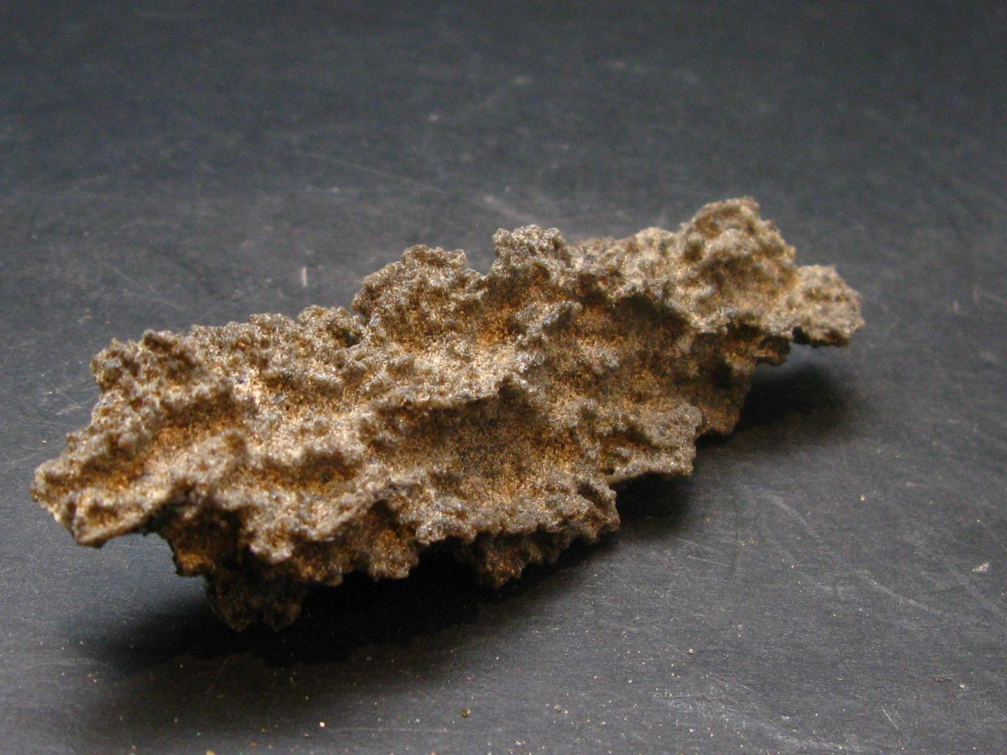 Large Fulgurite Lightning Rock From Sahara Desert - 3.3"