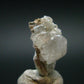 Rare Phenakite Phenacite Crystal from Madagascar - 10.85 Carats - 0.7"