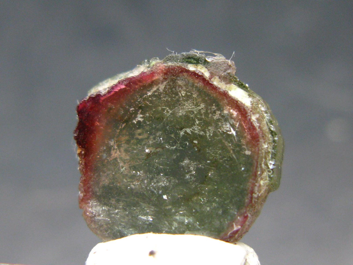 Rare Watermelon Tourmaline Crystal Slice From Brazil - 6.93 Carats