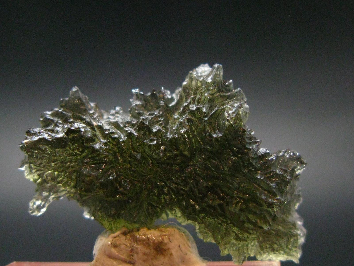 Rare Besednice Moldavite Tektite From Czech Republic - 1.1" - 14.05 Carats