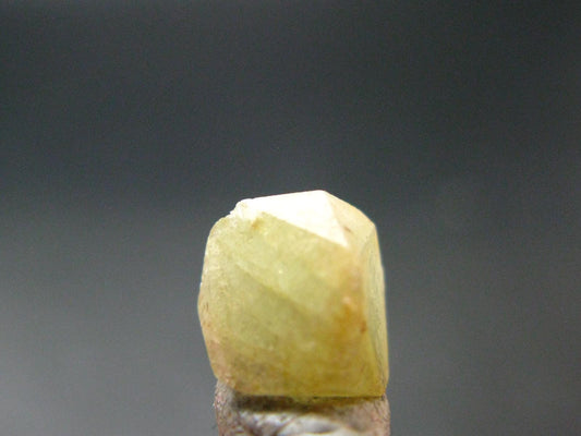 Rhodizite Rhodozite Crystal From Madagascar - 3.70 Carats - 0.3"