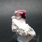 Rare Gem Bixbite Red Emerald Beryl Cluster From Utah USA - 1.7" - 15 Grams