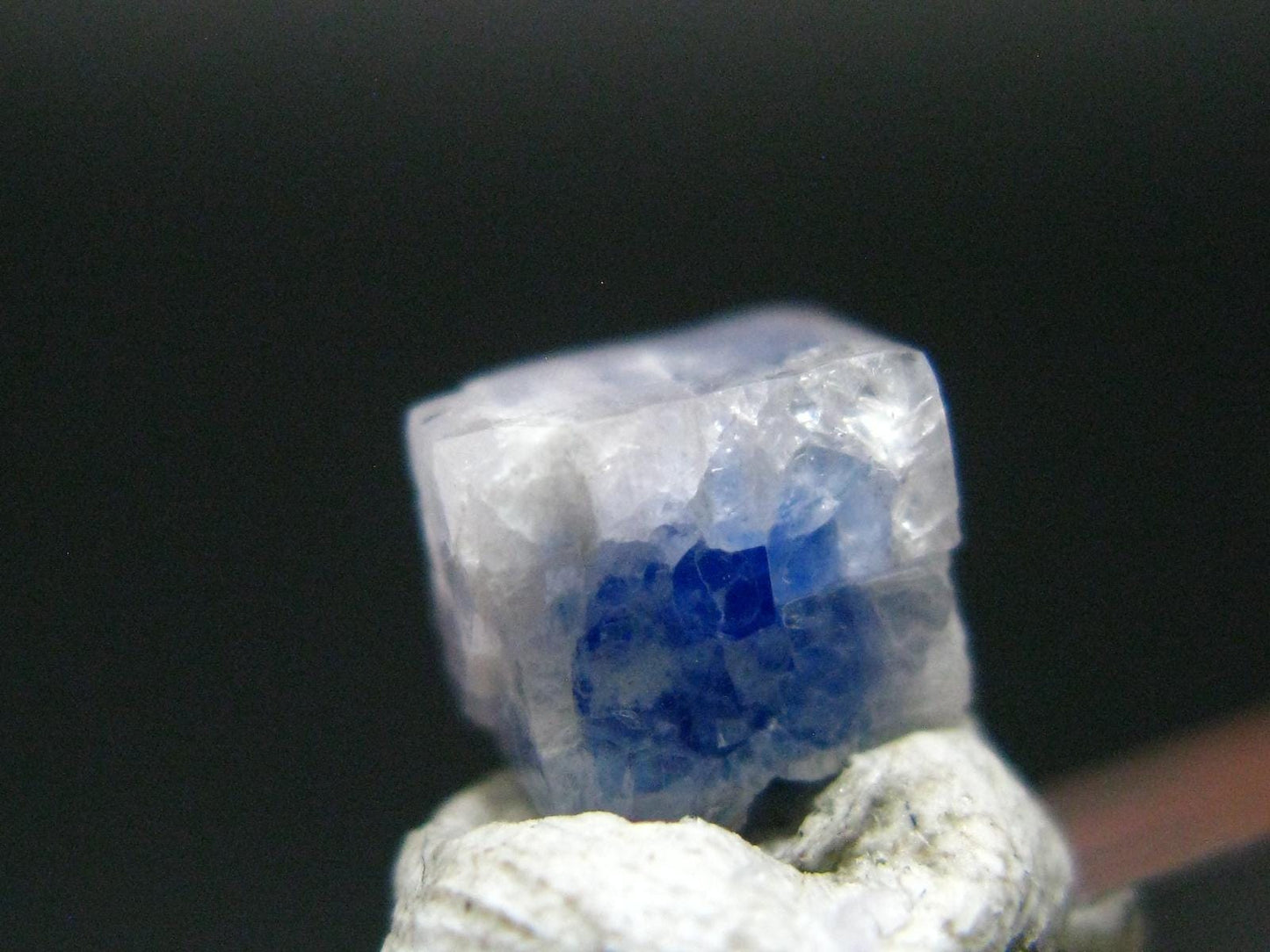 Fine Rare Carletonite Crystal From Mt. St. Hilaire Canada - 0.4" - 0.28 Grams