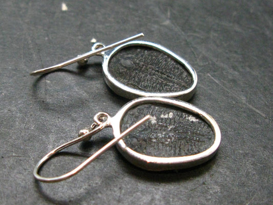 Trilobite Silver Earrings from USA - 1.3" - 3.68 Grams