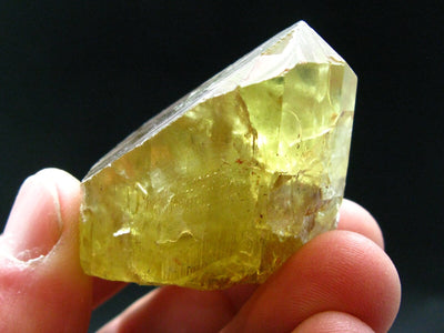 Large Gem Golden Apatite Crystal From Mexico - 1.8"