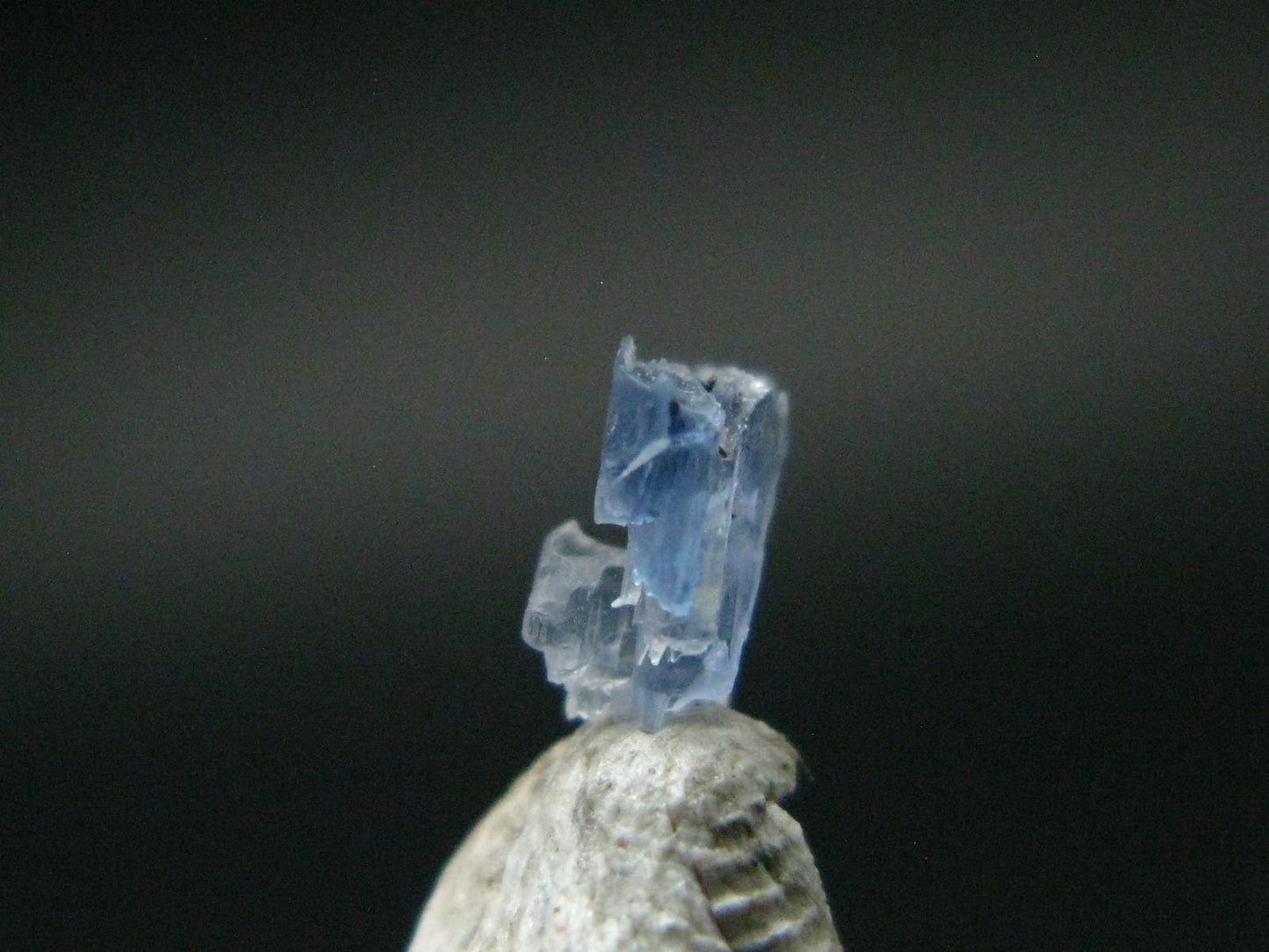 Rare Gem Jeremejevite Crystal From Namibia - 0.23 Carats