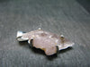 Gem Kunzite Spodumene Pendant in SS From Brazil - 1.1" - 3.05 Grams