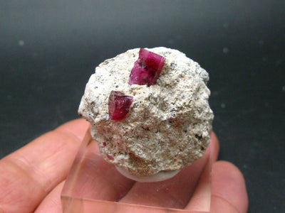 Rare Gem Bixbite Red Emerald Beryl Cluster From Utah USA - 1.6"