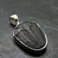 Trilobite Silver Pendant from USA - 0.9" - 1.51 Grams