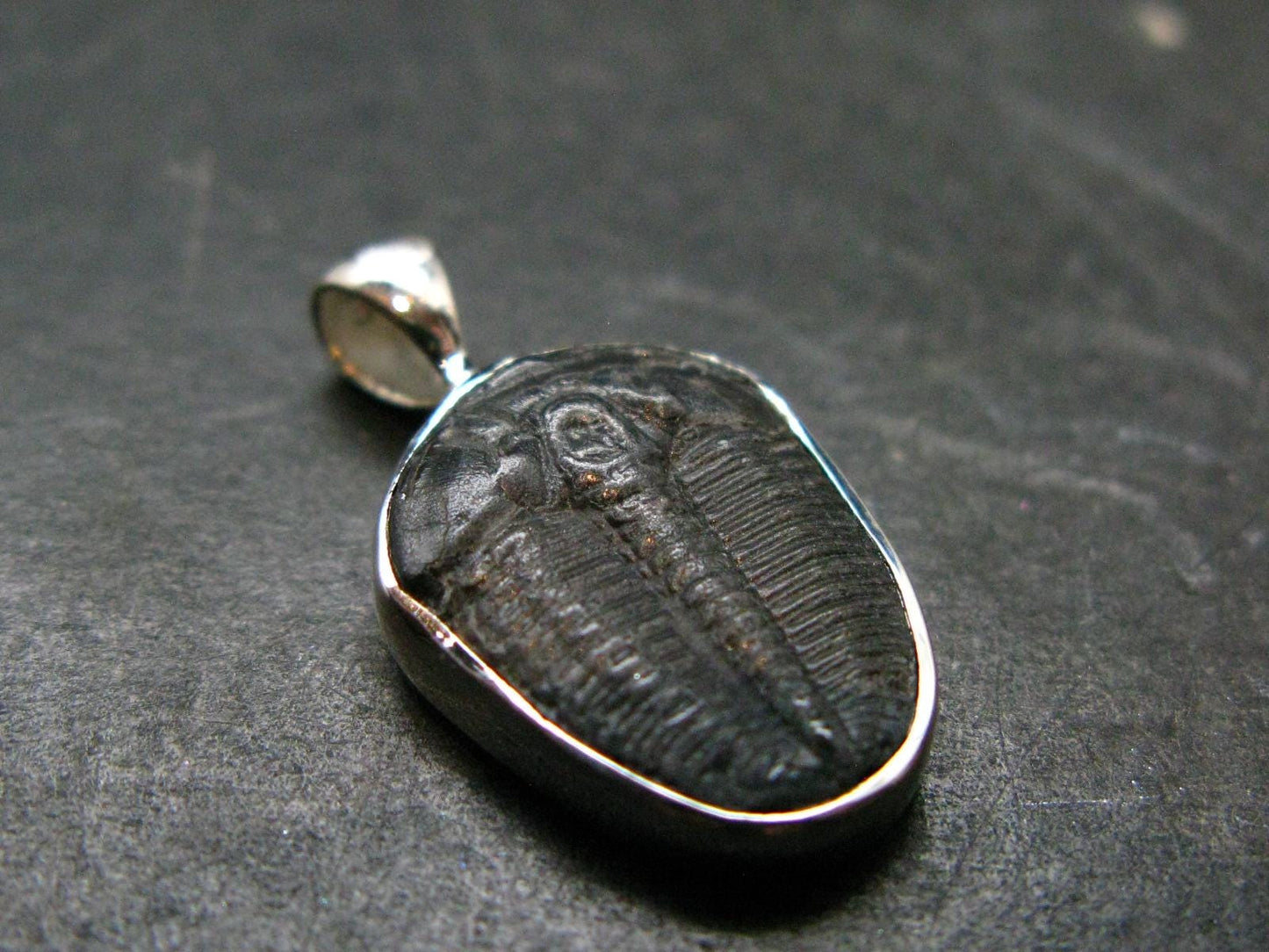 Trilobite Silver Pendant from USA - 0.9" - 1.51 Grams