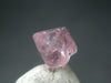Gem Red Spinel Crystal from Vietnam - 1.68 Carats