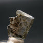 Phenakite Phenacite Crystal Slice from Russia - 6.97 Carats - 0.7"