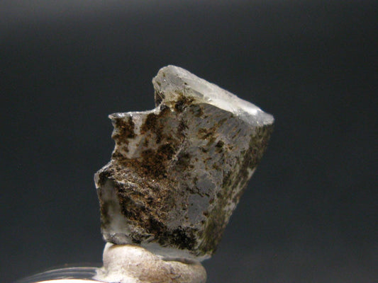 Phenakite Phenacite Crystal Slice from Russia - 6.97 Carats - 0.7"
