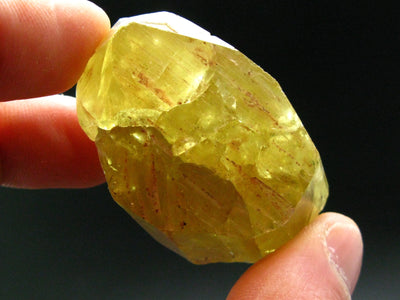 Large Gem Golden Apatite Crystal From Mexico - 1.8"