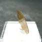 Large Brookite Crystal From Pakistan - 0.19 Grams - 21 mm
