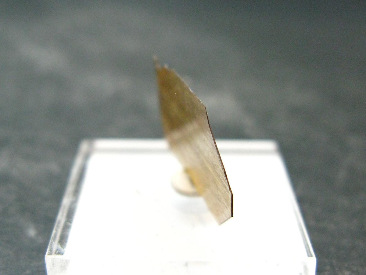 Large Brookite Crystal From Pakistan - 0.19 Grams - 21 mm