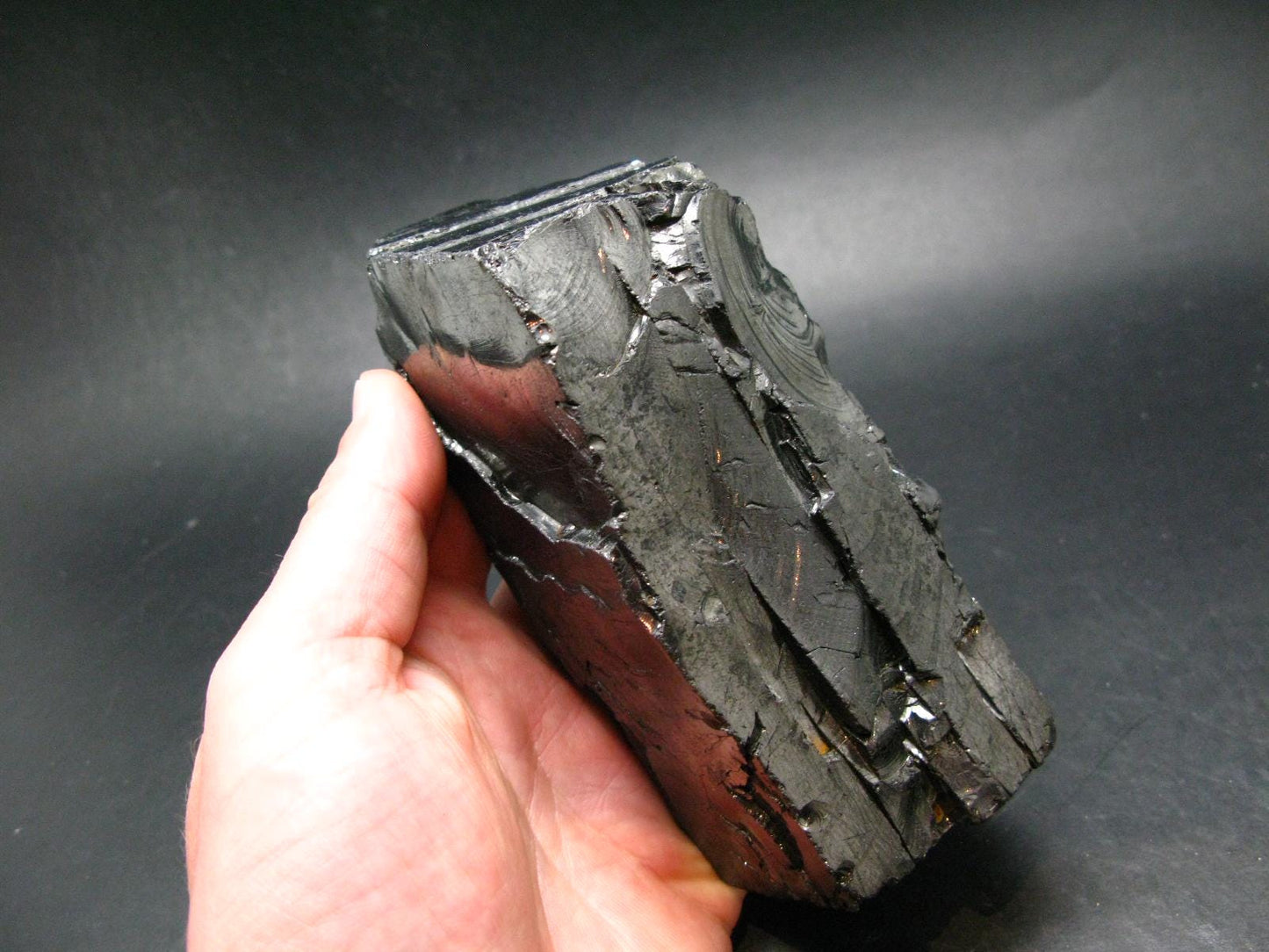 Elite Noble Shungite Raw Piece from Russia - 5.3" - 583 Grams