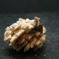 Rare Herderite Cluster from Brazil - 0.9" - 5.17 Grams