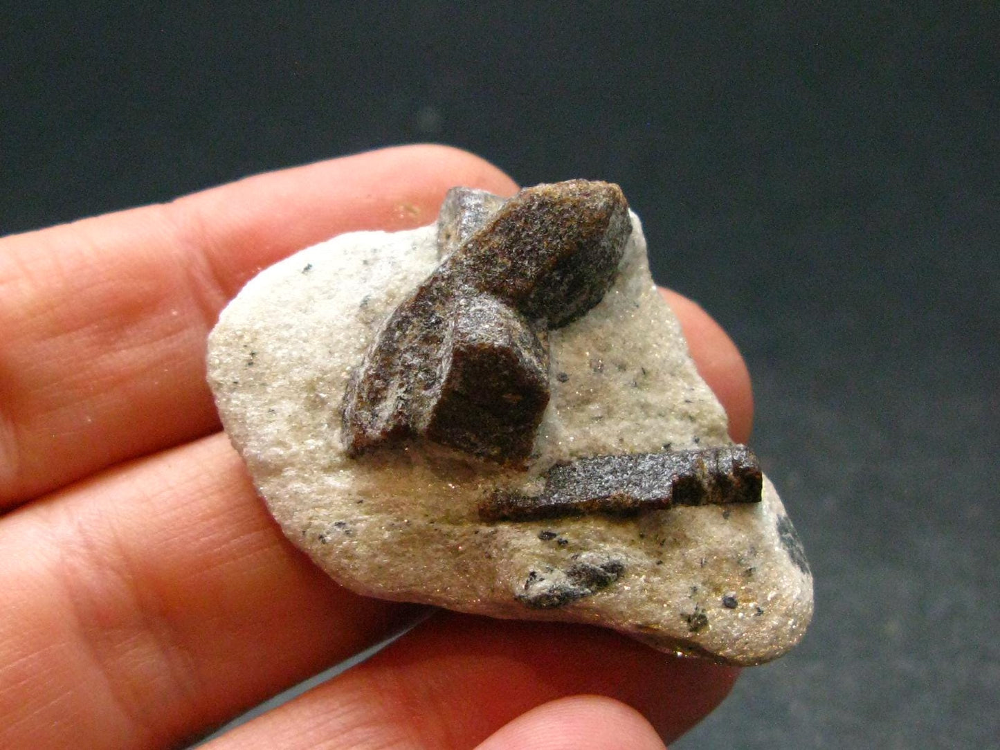A Perfect Staurolite Crystal on Matrix from Russia - 1.5" - 10.91 Grams