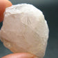 Nice Gem Danburite Crystal From Mexico - 1.4" - 24.10 Grams