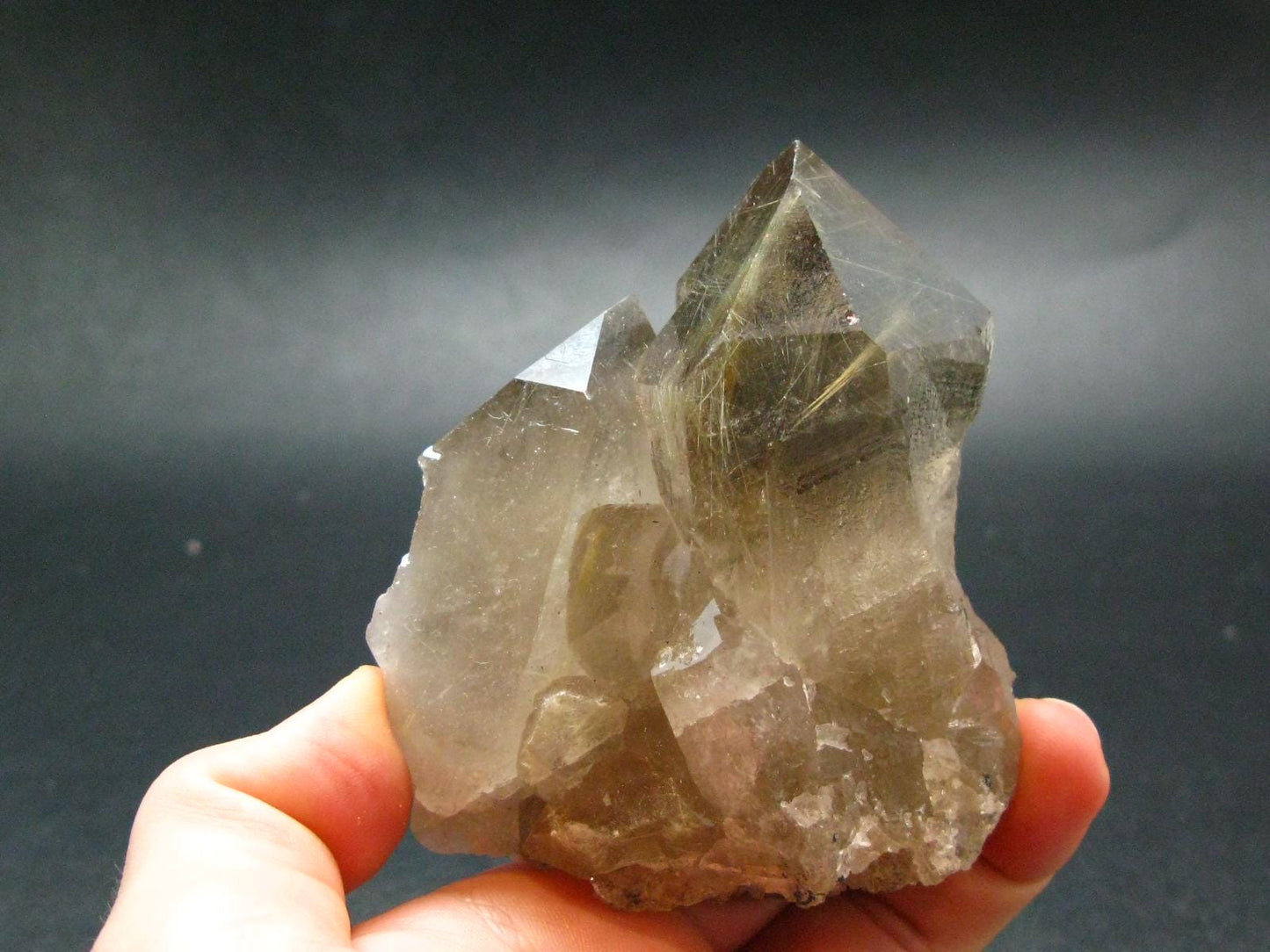 Large Rutilated Quartz Crystal from Brazil - 3.1" - 259.28 Grams