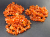 Lot of 3 Carnelian Tumbled Beads Necklaces From Madagascar - 35"