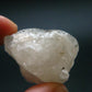 Phenakite Phenacite Gem Crystal from Brazil - 1.2" - 123.95 Carats