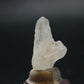 Phenakite Phenacite Crystal from Nigeria - 8.06 Carats