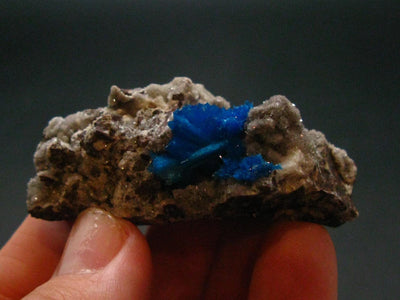 Cavansite on Stilbite Cluster From India - 2.0"