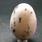 Rare Pink Opal Egg from Peru - 107.58 Grams, 2.2"