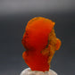Wulfenite Cluster From Arizona - 0.9"