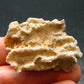 Large Fulgurite Lightning Rock From Sahara Desert - 1.6" - 3.20 Grams