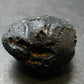 Rare Large Black Tibetan Tektite Raw Piece from Tibet - 1.2" - 20.54 Grams