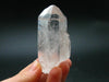 Record Keeper Lemurian Seed Quartz Crystal From Brazil - 2.4"