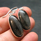 Tumbled Hypersthene Silver Earrings From Canada - 1.4" - 5.27 Grams